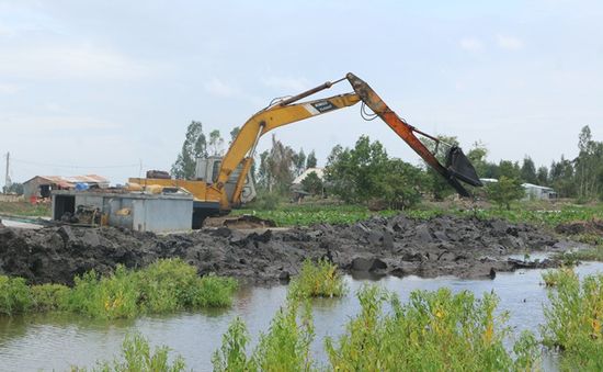 Hàng nghìn ha lúa tại Long An bị mưa lũ đe dọa