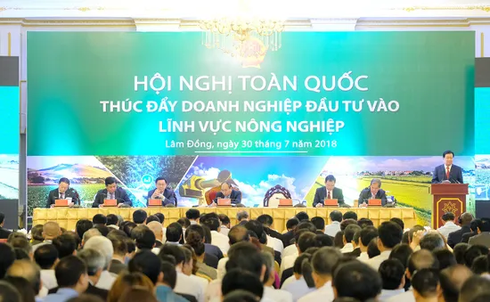 Cần nhiều giải pháp để thúc đẩy doanh nghiệp đầu tư vào nông nghiệp