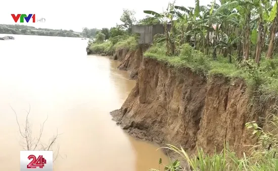 Sạt lở nghiêm trọng ven sông Đồng Nai do khai thác cát trái phép