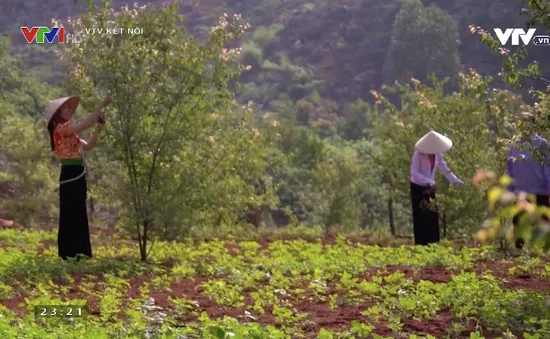 "Tôi là nông dân" ngày càng thu hút khán giả