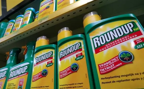 Anh cân nhắc ngừng bán thuốc diệt cỏ Roundup của Monsanto