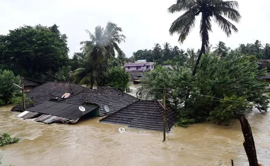 Mưa lũ gây ngập lụt nghiêm trọng ở Ấn Độ, 79 người thiệt mạng