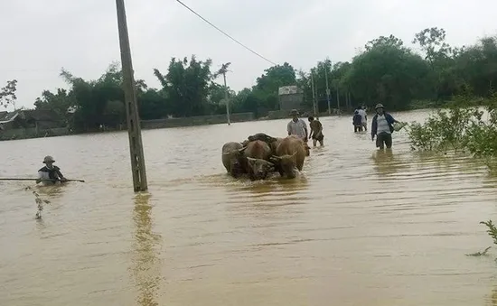 Vùng cao Nghệ An bị chia cắt do mưa lũ