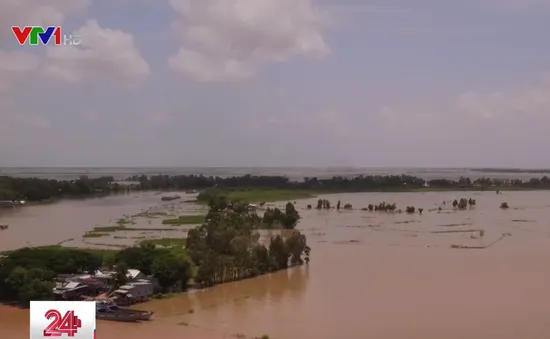 Lũ về sớm, người dân An Giang không kịp trở tay