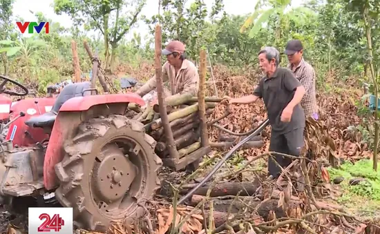 Bất thường trong hỗ trợ mất mùa cho bà con ở Đồng Nai