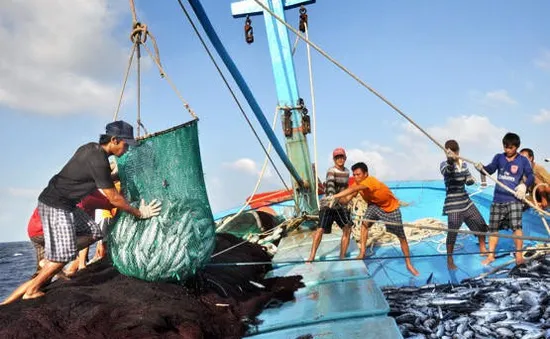 Ngăn chặn khai thác bất hợp pháp từ các chuỗi liên kết