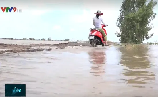 Lũ lớn chia cắt nhiều nhà dân vùng đầu nguồn Đồng Tháp