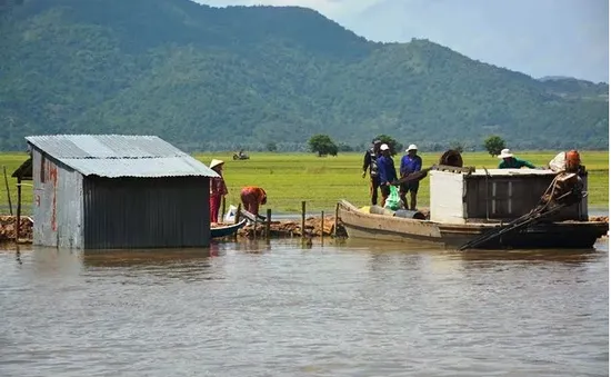 Nước lũ lên cao gây thiệt hại hơn 700ha lúa tại An Giang