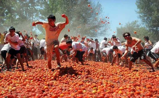 Độc đáo lễ hội ném Cà chua Tây Ban Nha