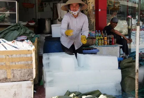 Lưu ý: Đá cây không sử dụng cho ăn uống, giải khát