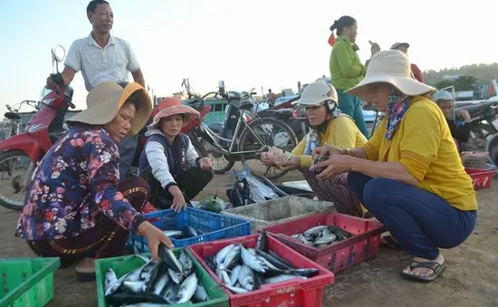 Đi chợ cá trên đảo Lý Sơn