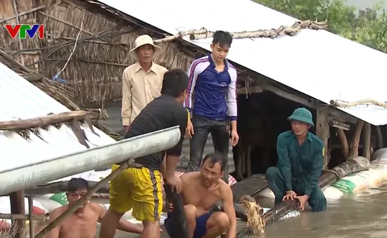 Gia cố đê bao, kịp thời cứu hàng trăm ha lúa tại Đồng Tháp