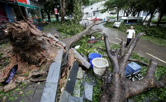 Mưa lớn do bão Mangkhut tiếp tục đe dọa các tỉnh miền Nam Trung Quốc