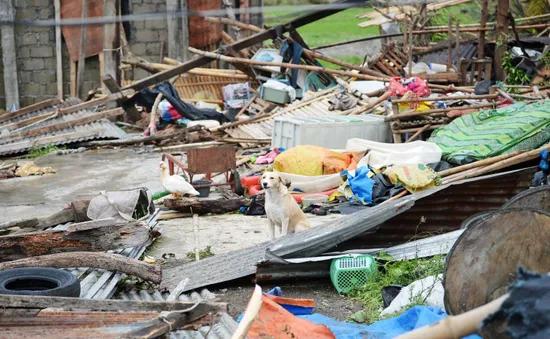 Hơn 60 người thiệt mạng do bão Mangkhut tại Philippines