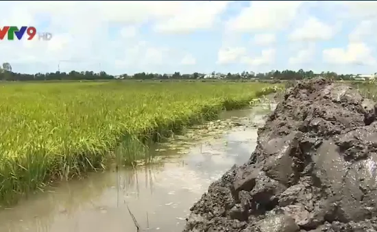 Kiên Giang quyết tâm bảo vệ 30.000ha lúa bị lũ uy hiếp