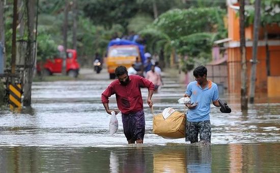 Ấn Độ: Bệnh dịch hoành hành tại bang Kerala sau lũ lụt