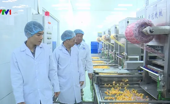 Liên kết 4 nhà tạo sản phẩm hàng hóa chất lượng cao