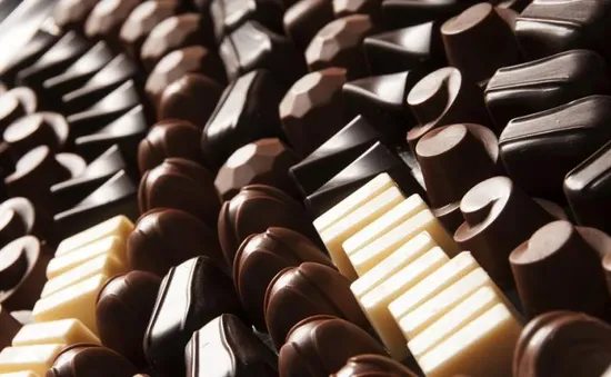 Chocolate có thể biến mất vào năm 2050