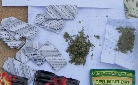 Bình Định: Gần 50% đối tượng nghiện ma túy sử dụng cỏ Mỹ