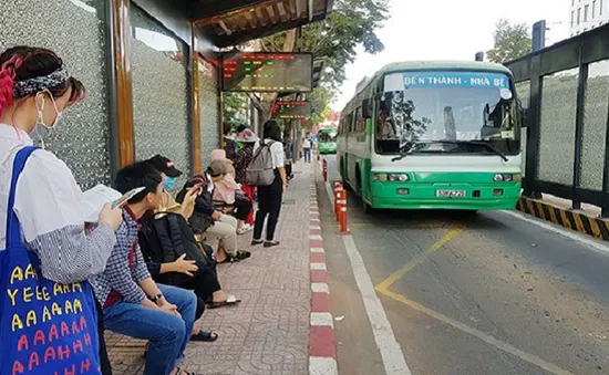 TP.HCM không làm làn đường riêng cho xe bus nhanh