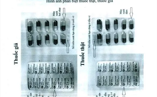 Bộ Y tế truy nguồn gốc thuốc kháng sinh Lincomycin giả