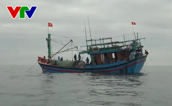 Quảng Ngãi cứu sống 8 thuyền viên trên tàu cá bị nạn tại ngư trường Hoàng Sa