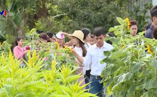 Làng hoa Sa Đéc tấp nập du khách dịp Tết Dương lịch