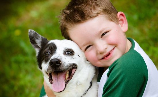 Tiếp xúc với thú nuôi giúp giảm dị ứng ở trẻ