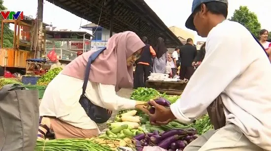 Cô gái đi tiên phong trong lối sống không rác thải tại Indonesia