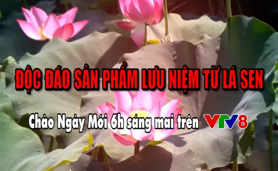 Độc đáo hàng lưu niệm từ lá sen (Chào Ngày Mới, 6h ngày 25/1, VTV8)