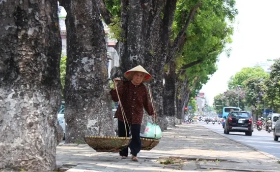 Toàn miền Trung tạnh ráo, trưa chiều có nắng