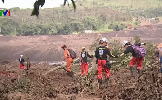 Vỡ đập ở Brazil: Chạy đua với thời gian tìm kiếm người mất tích