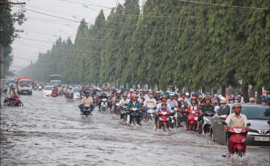 Ngập sâu ở vùng ĐBSCL: Do triều cường cao hay đồng bằng đang sụt lún?