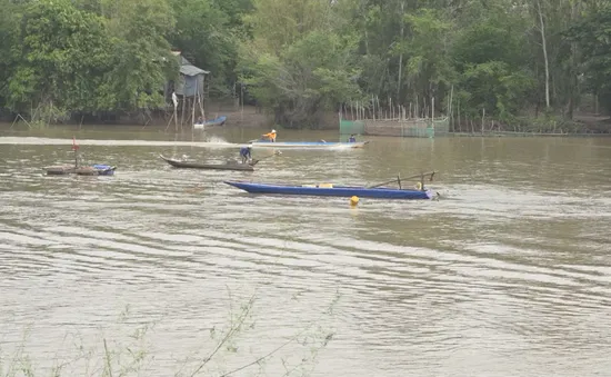 Nhộn nhịp mùa cá ra sông