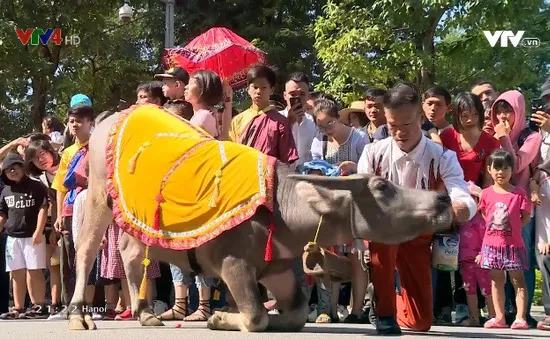 Diễu hành biểu diễn nghệ thuật xiếc tại phố đi bộ Hồ Gươm