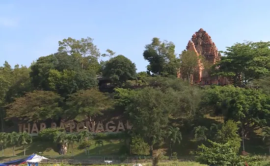 Khuyến mãi bus du lịch