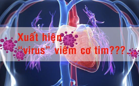 [Infographic] - Thực hư "virus" viêm cơ tim?