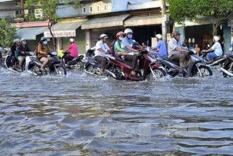 Khoảng 100 tuyến đường bị ngập trên địa bàn thành phố Cần Thơ