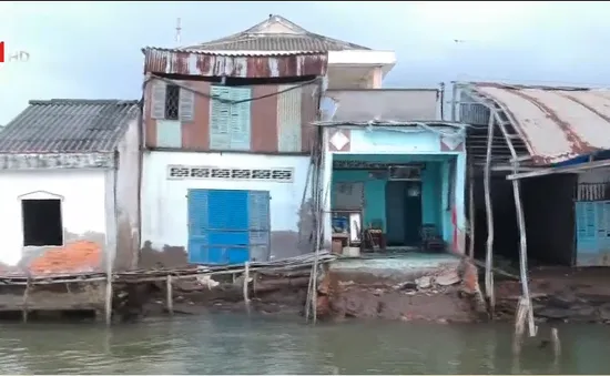 Ảnh hưởng nghiêm trọng sinh hoạt và sản xuất do sạt lở tại Cà Mau
