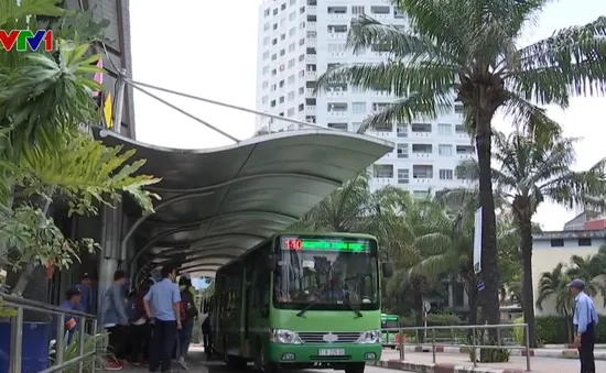 TP.HCM đang tìm mọi giải pháp để đẩy mạnh phát triển xe bus