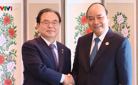 Thúc đẩy hợp tác giao lưu giữa các địa phương của Việt Nam với Busan