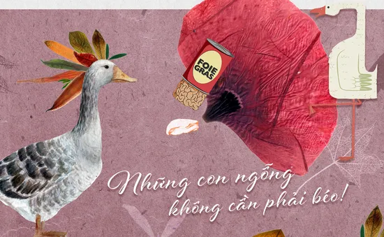 Những con ngỗng không cần phải béo!