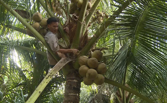 Người đàn ông tàn nhưng không phế