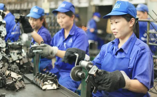 Cấm doanh nghiệp nước ngoài tuyển dụng trực tiếp lao động Việt Nam