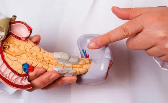 Thuốc làm tiêu biến khối u ung thư tuyến tụy trong 14 ngày