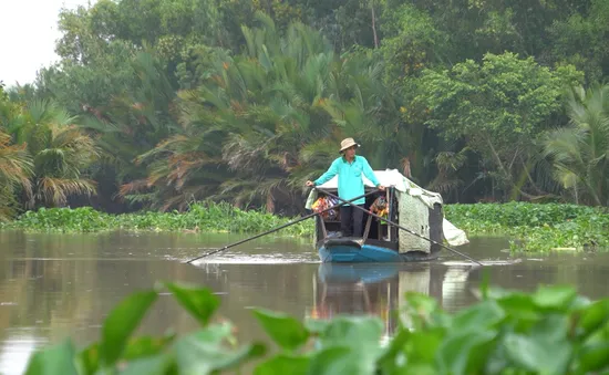 Ghe hàng trên sông nước miền Tây