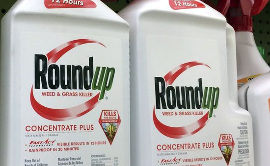 Australia xử vụ kiện Monsanto về thuốc diệt cỏ gây ung thư