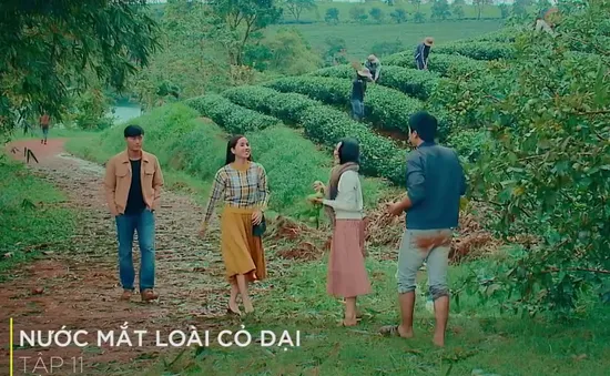 Nước mắt loài cỏ dại - Tập 11: Thấy em gái có bạn trai, anh họ lại ghen ra mặt