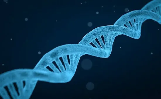 Phát hiện biến thể gene gây vô sinh ở nam giới