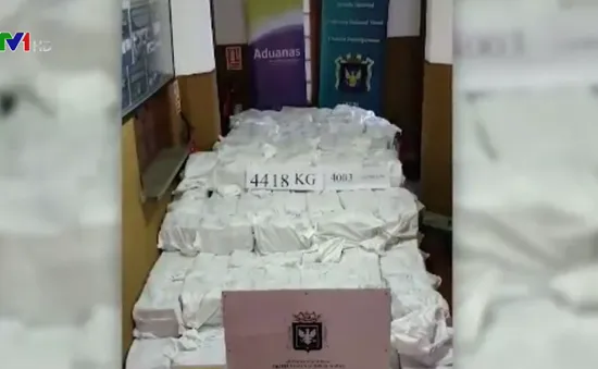 Uruguay thu giữ lượng cocaine kỷ lục